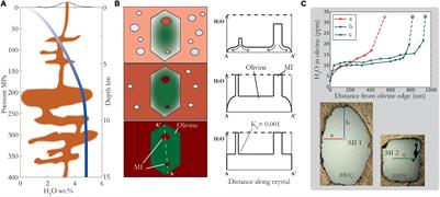 The Ins and Outs of Water in Olivine-Hosted Melt Inclusions: Hygrometer vs. Speedometer